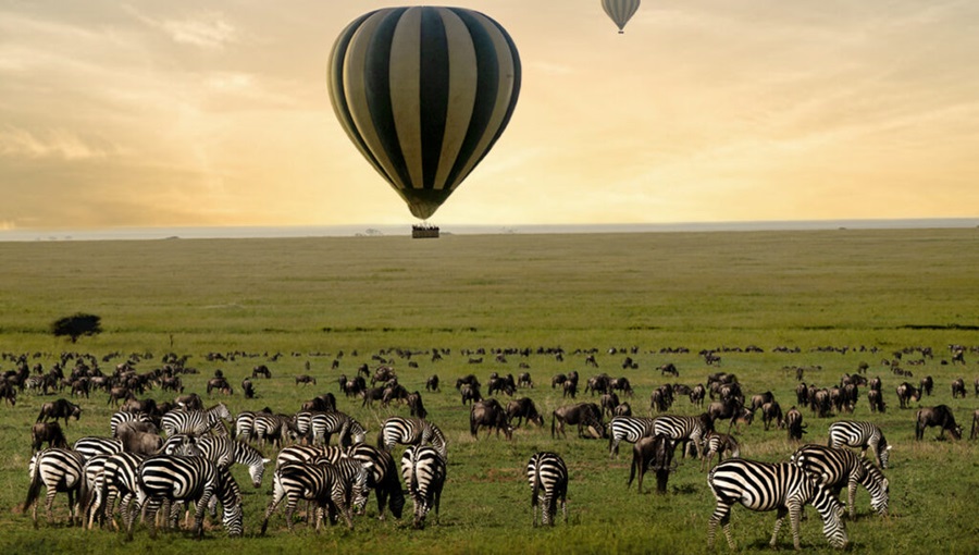 Serengeti Ngorongoro Safari