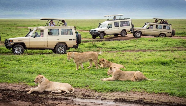 Ngorongoro Crater Tanzania