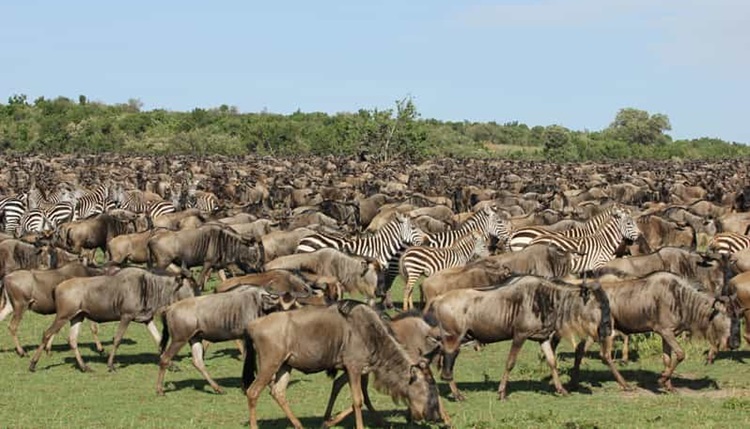 Serengeti National Park