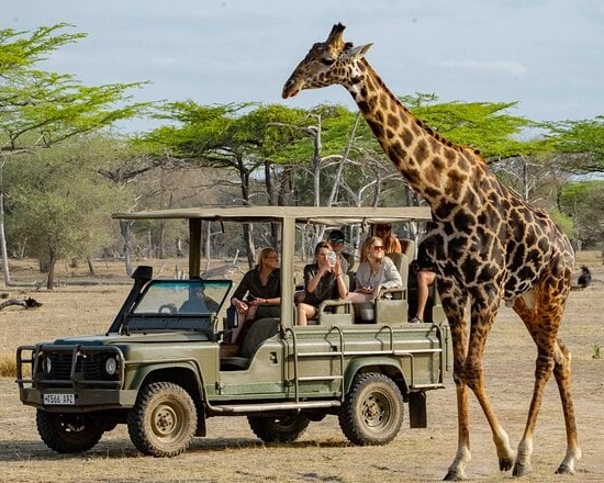Tanzania Safari -1 Tanzania Safari Experience