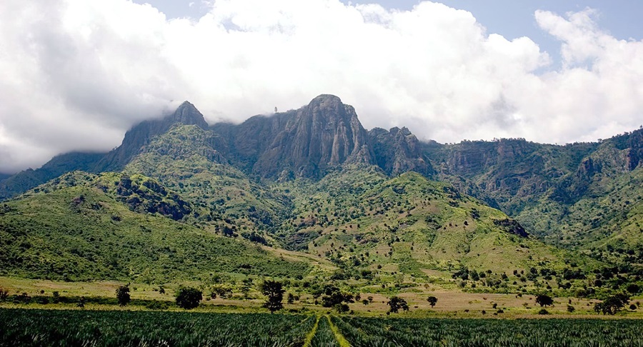 Usambara Mountains Usambara Mountains Tanzania