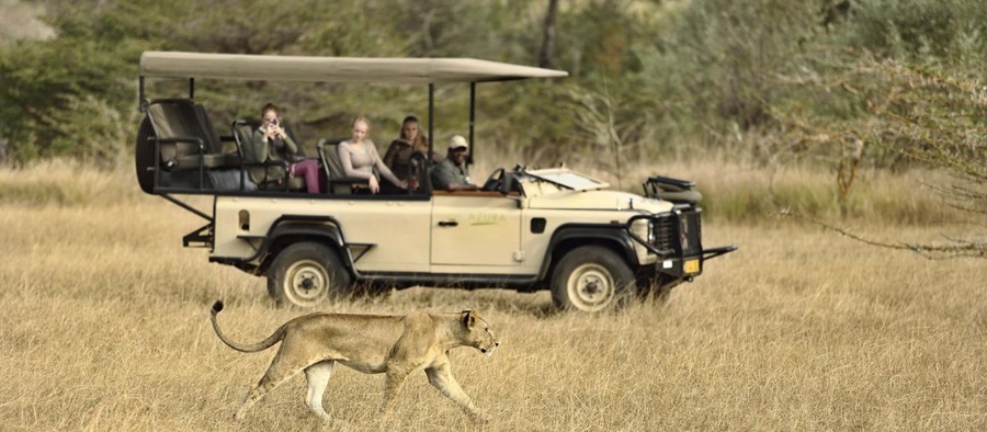 Southern Tanzania Safari