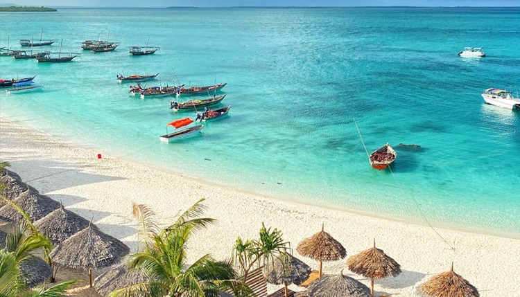 Zanzibar White Beaches